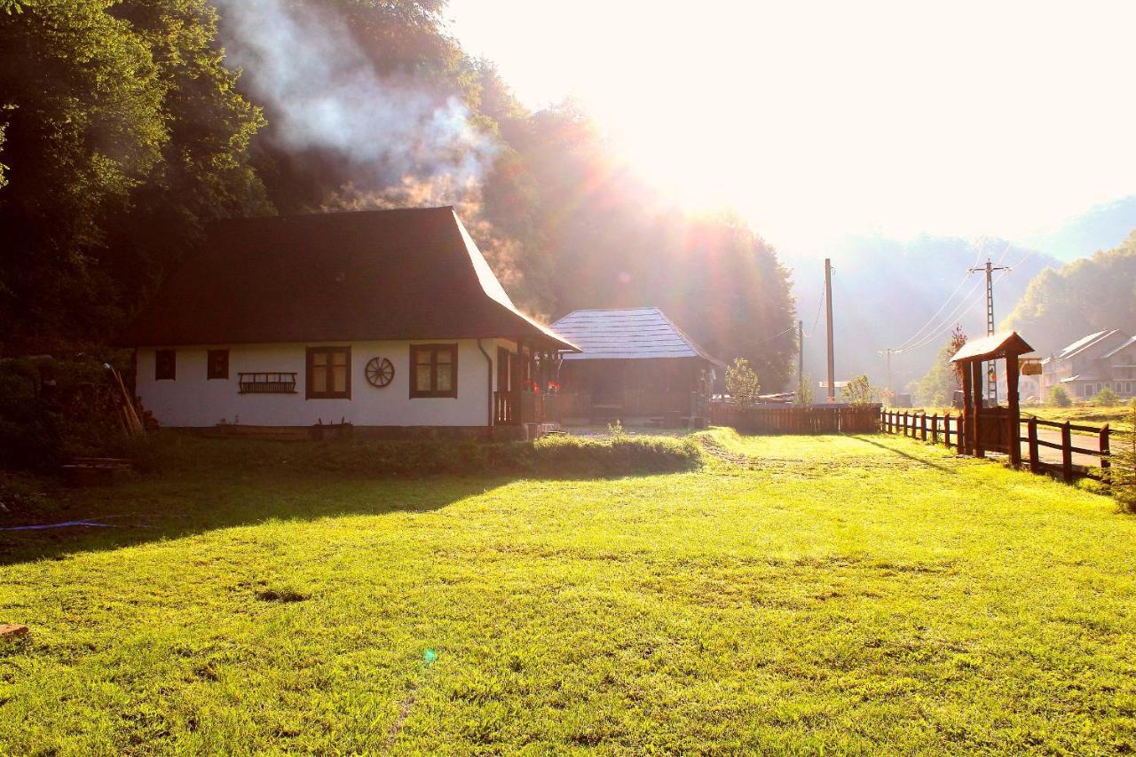 Casuta Din Valea Regilor Vila Gradistea de Munte Exterior foto