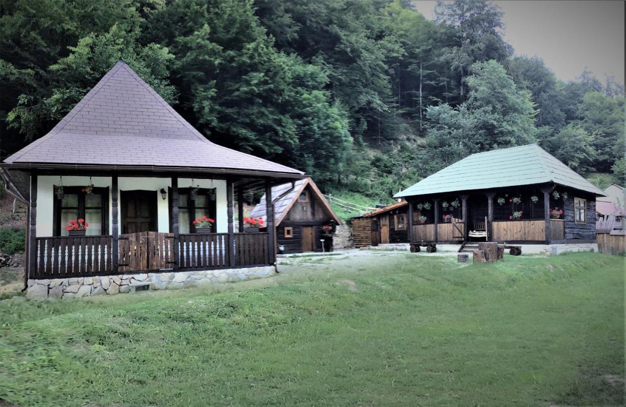 Casuta Din Valea Regilor Vila Gradistea de Munte Exterior foto