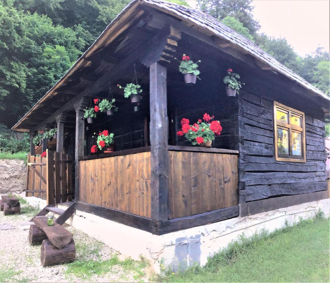Casuta Din Valea Regilor Vila Gradistea de Munte Exterior foto