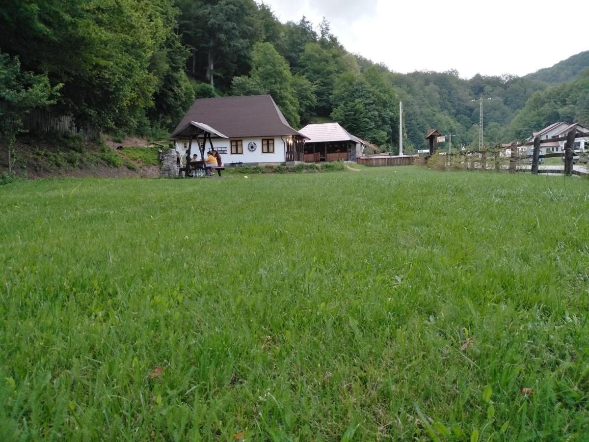 Casuta Din Valea Regilor Vila Gradistea de Munte Exterior foto