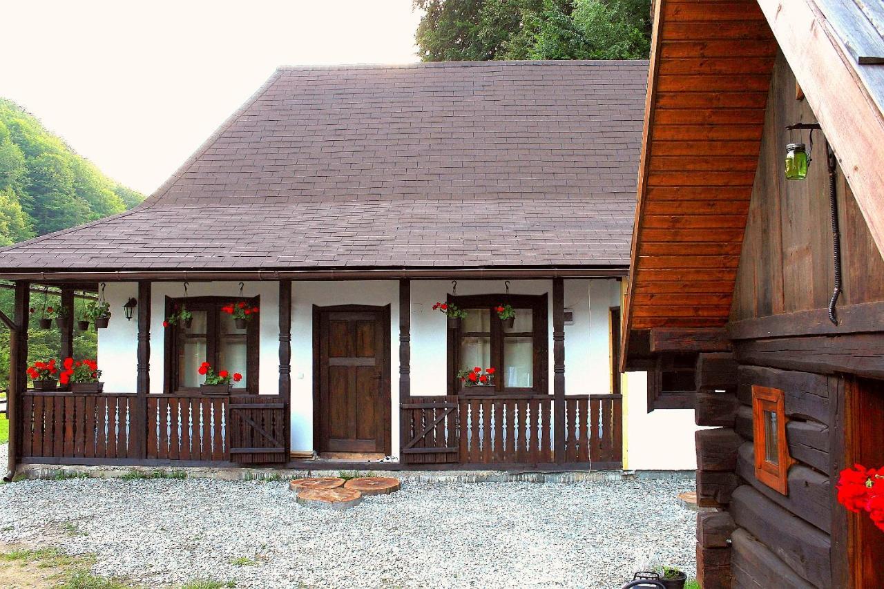 Casuta Din Valea Regilor Vila Gradistea de Munte Exterior foto