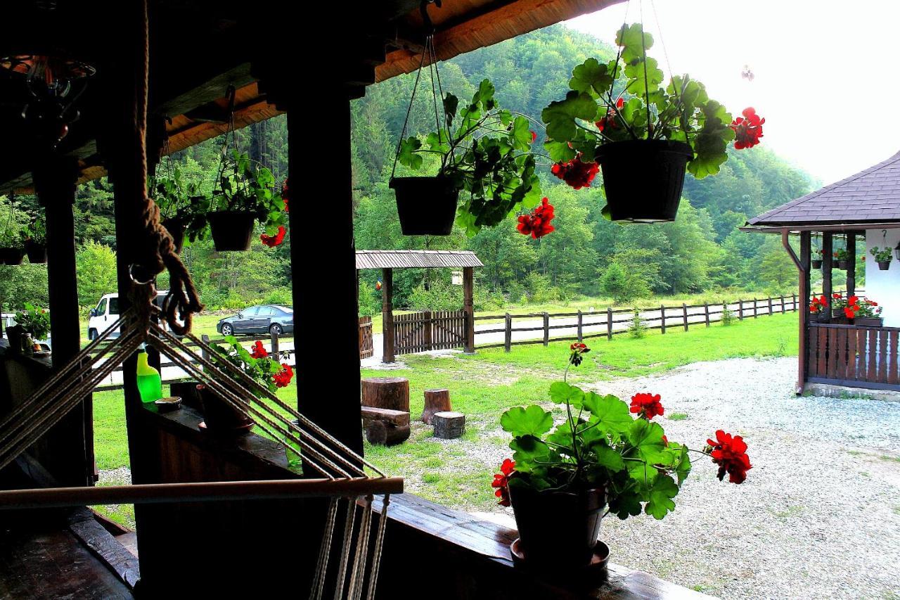 Casuta Din Valea Regilor Vila Gradistea de Munte Exterior foto
