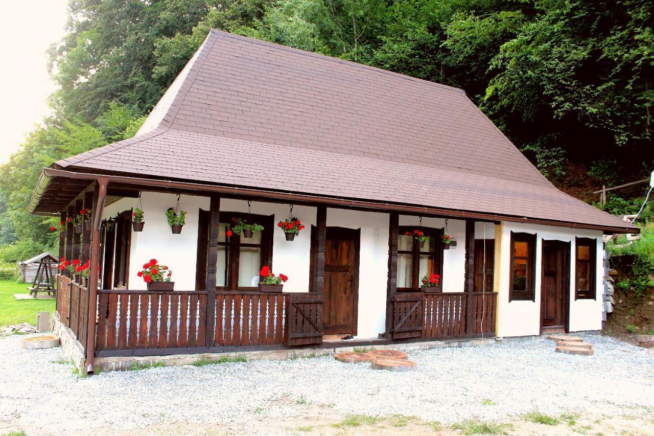 Casuta Din Valea Regilor Vila Gradistea de Munte Exterior foto