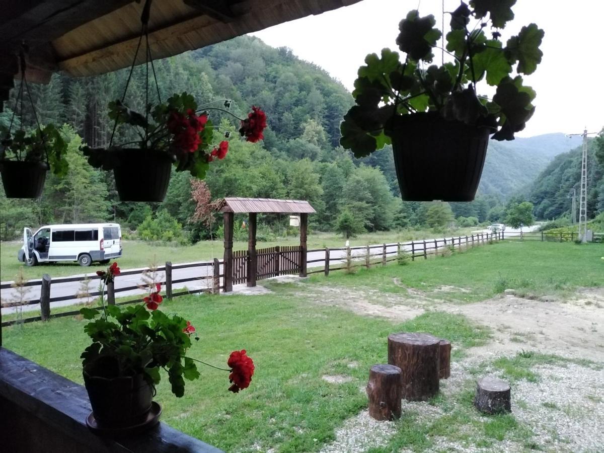 Casuta Din Valea Regilor Vila Gradistea de Munte Exterior foto