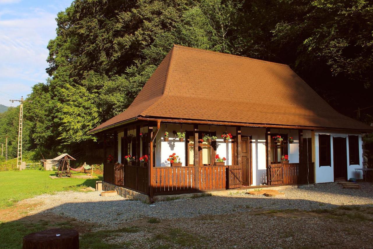 Casuta Din Valea Regilor Vila Gradistea de Munte Exterior foto