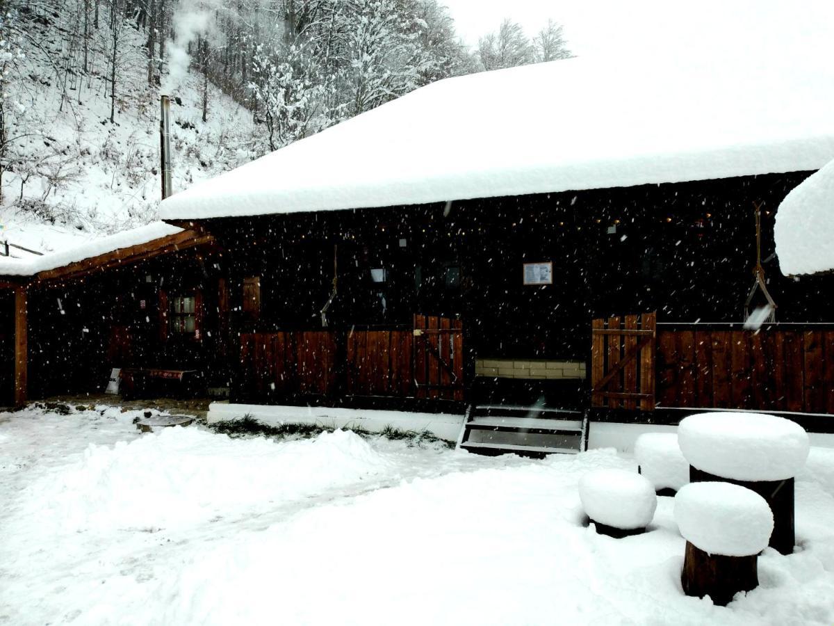 Casuta Din Valea Regilor Vila Gradistea de Munte Exterior foto