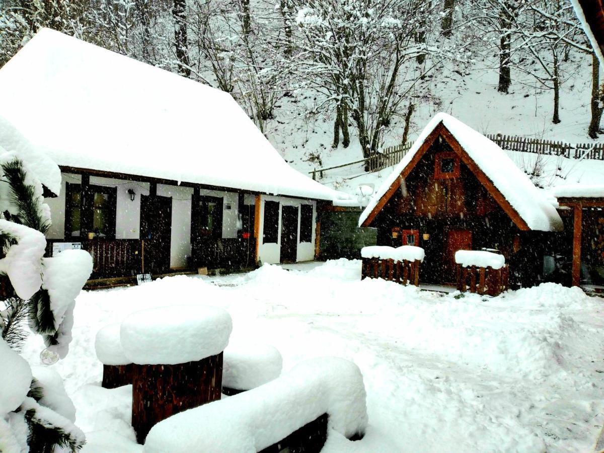 Casuta Din Valea Regilor Vila Gradistea de Munte Exterior foto