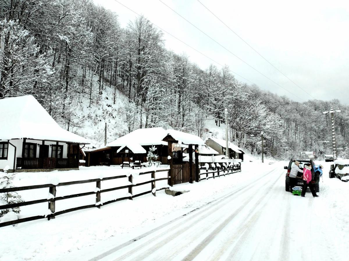 Casuta Din Valea Regilor Vila Gradistea de Munte Exterior foto