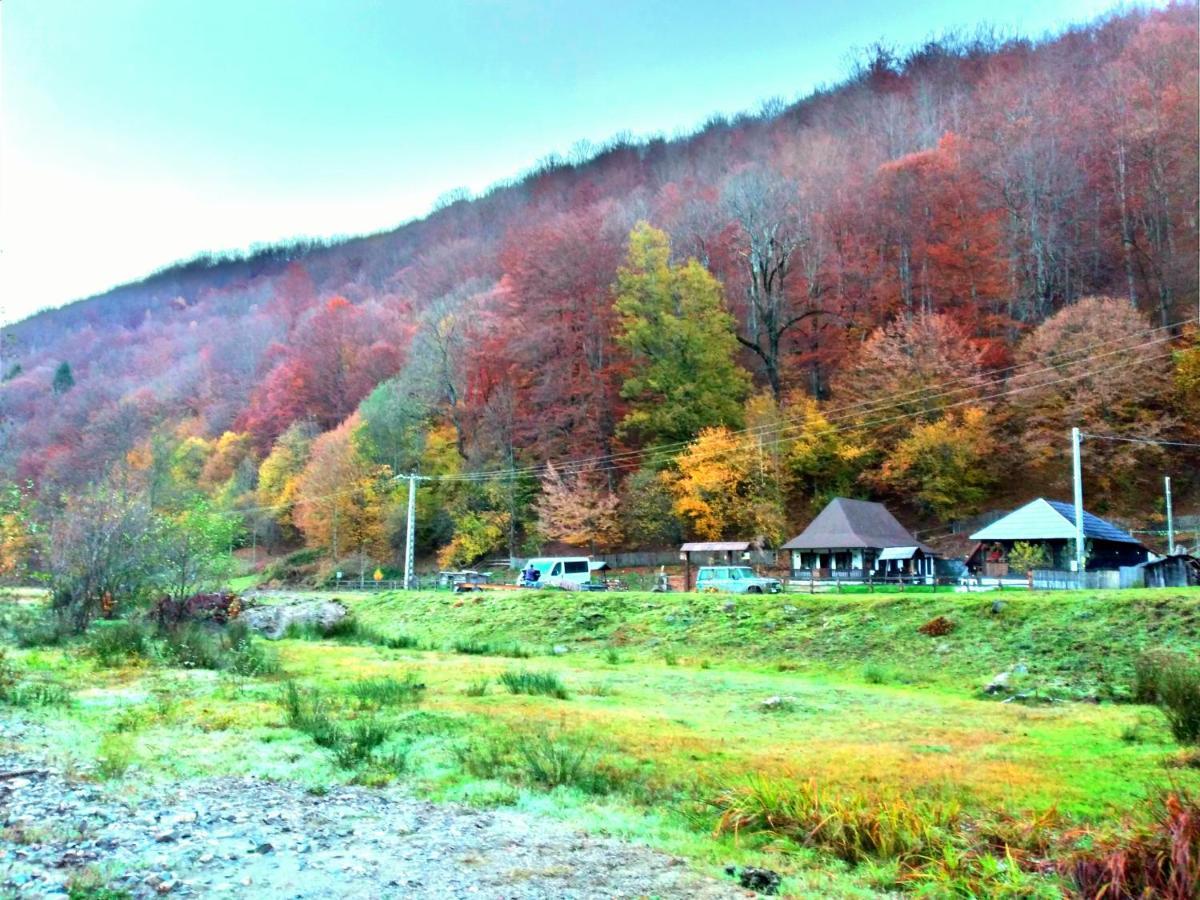 Casuta Din Valea Regilor Vila Gradistea de Munte Exterior foto