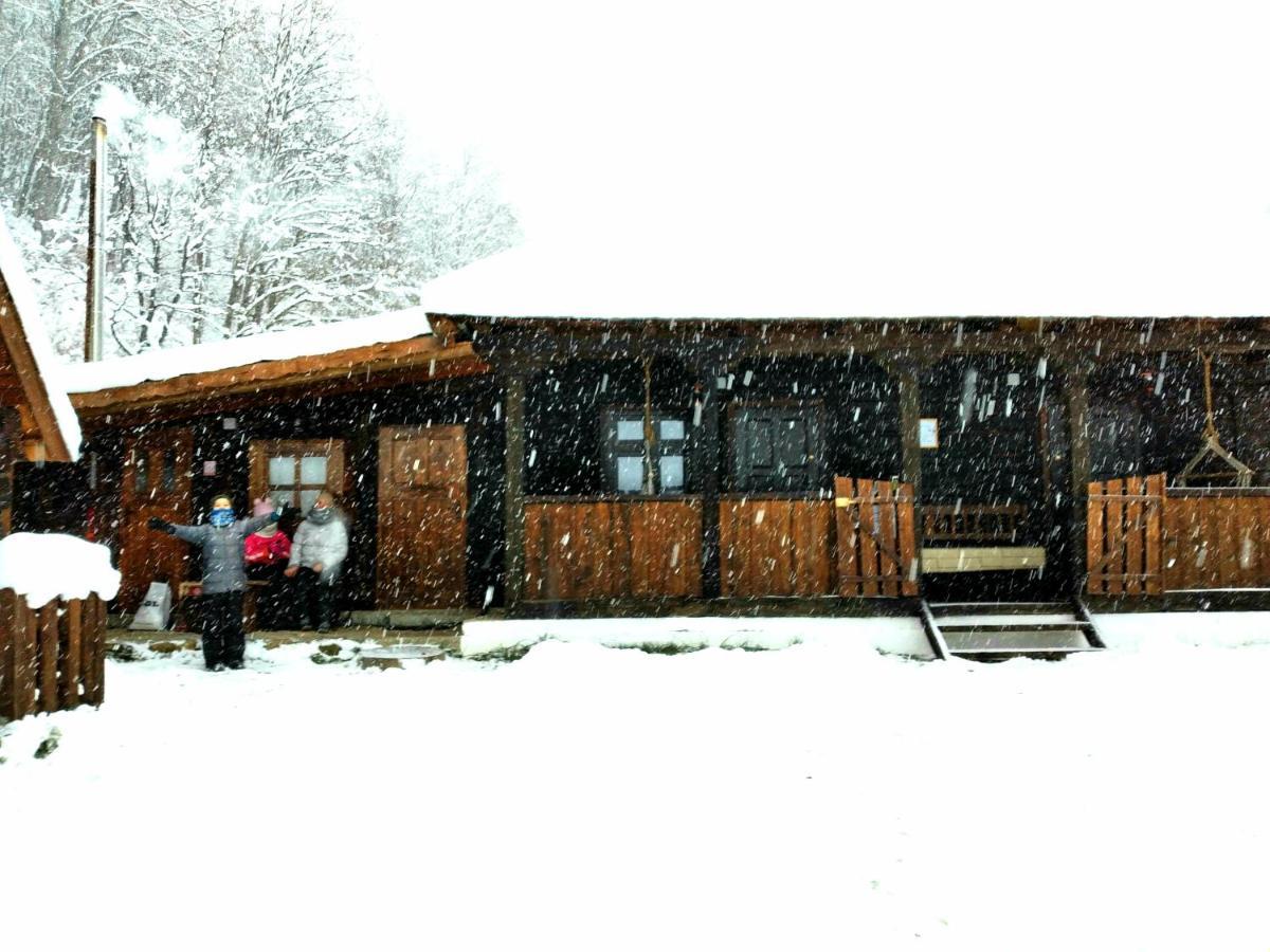 Casuta Din Valea Regilor Vila Gradistea de Munte Exterior foto